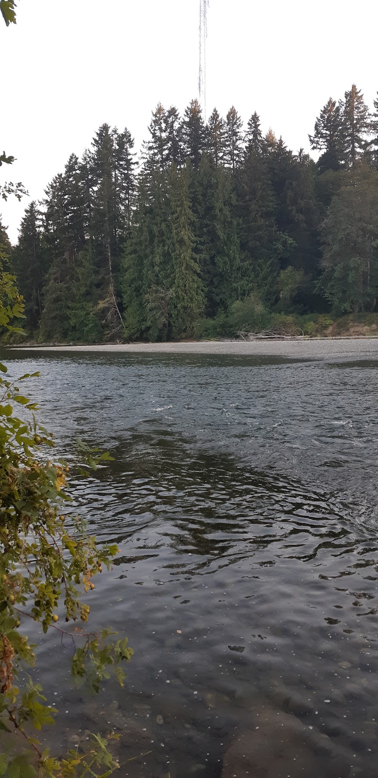 Laurys Retreat BnB & Campsites | 6190 Ferguson Rd, Port Alberni, BC V9Y 8L4, Canada | Phone: (250) 201-1144