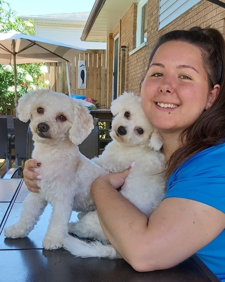 Dos 4 Doggies | 43 Elginfield Dr, Guelph, ON N1E 4E5, Canada | Phone: (519) 820-3164