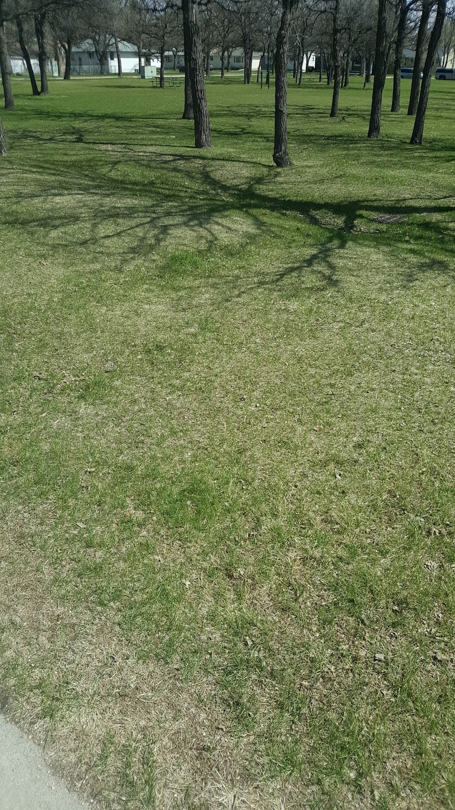 T.R. Hodgson Park | 303 Carpathia Rd, Winnipeg, MB R3N 1T2, Canada