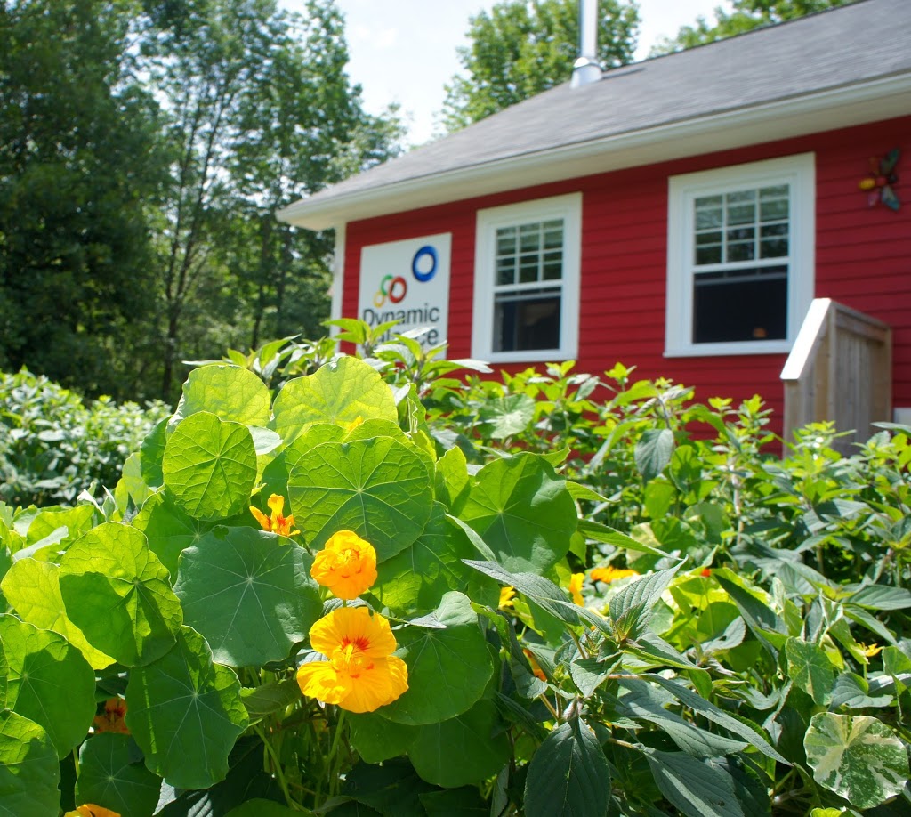 Dynamic Balance Centre for Occupational Therapy & Counselling | 1825 Northwest Rd, Blockhouse, NS B0J 1E0, Canada | Phone: (902) 624-6404
