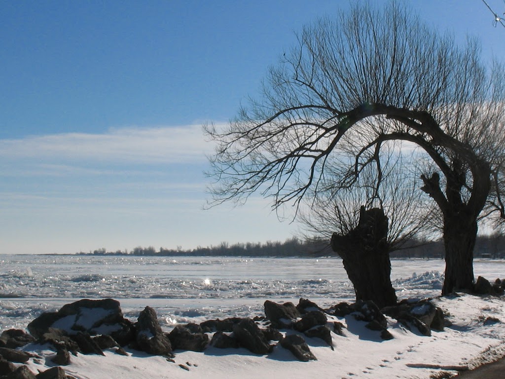 Turkey Point Hotel | 93 Cedar Dr, Turkey Point, ON N0E 1T0, Canada | Phone: (519) 426-6236