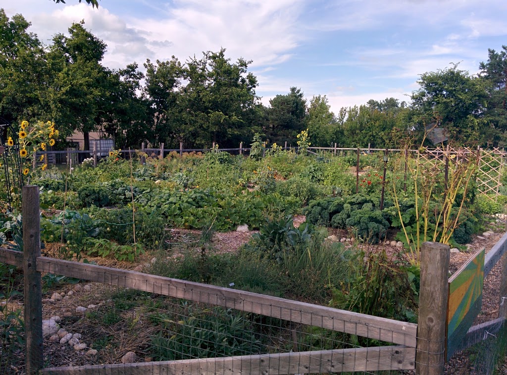Guelph Street Community Garden | 250 Guelph St, Kitchener, ON N2H, Canada | Phone: (289) 928-7533