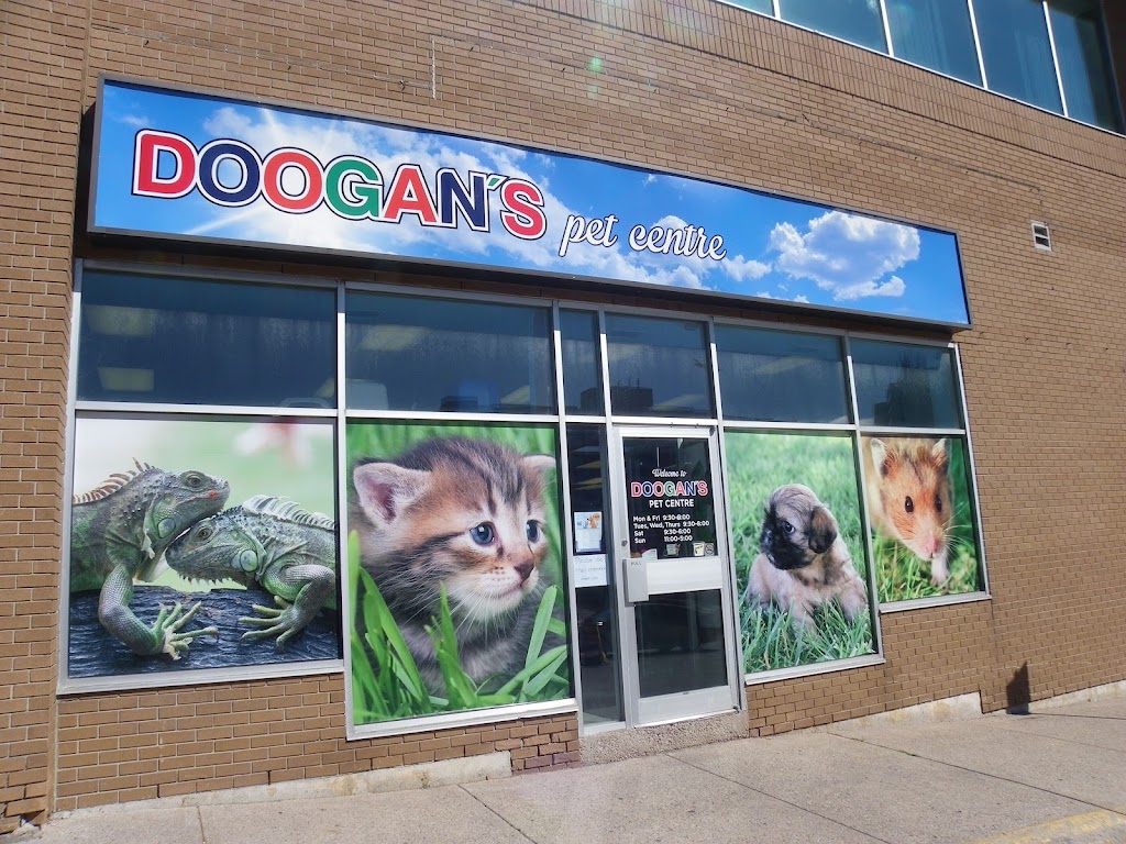 Doogans Pet Centre | 400 Bayfield St, Barrie, ON L4M 5A1, Canada | Phone: (705) 727-0182
