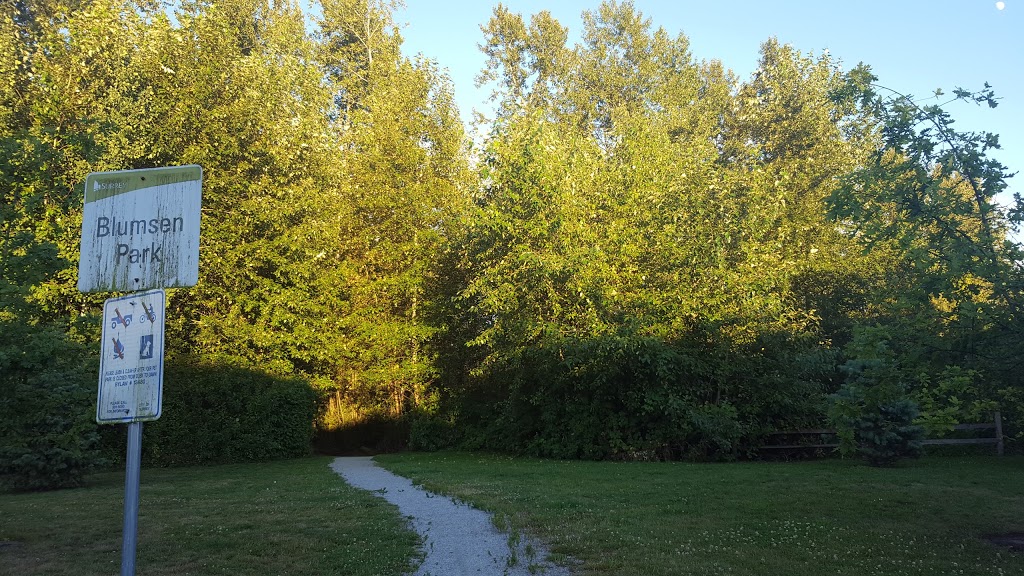 Blumsen Park | 15473 34 Ave, Surrey, BC V3S 0G4, Canada | Phone: (604) 591-4011