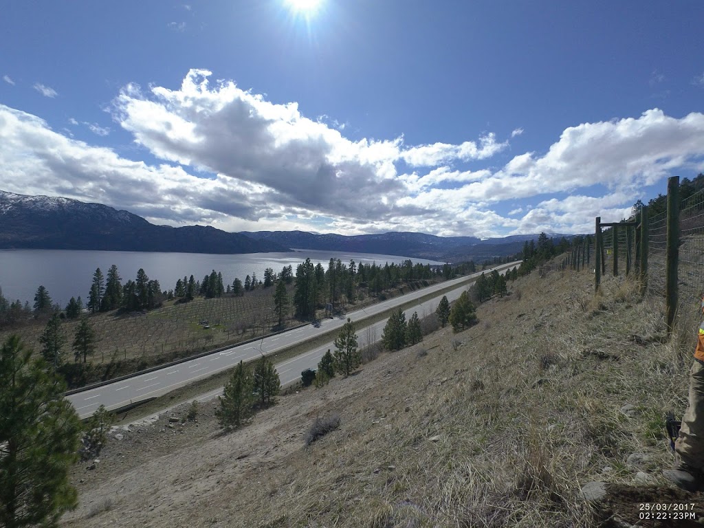 Brushpunks Forestry Services | 4218 6th avanue, Peachland, BC V0H 1X5, Canada | Phone: (250) 717-7886