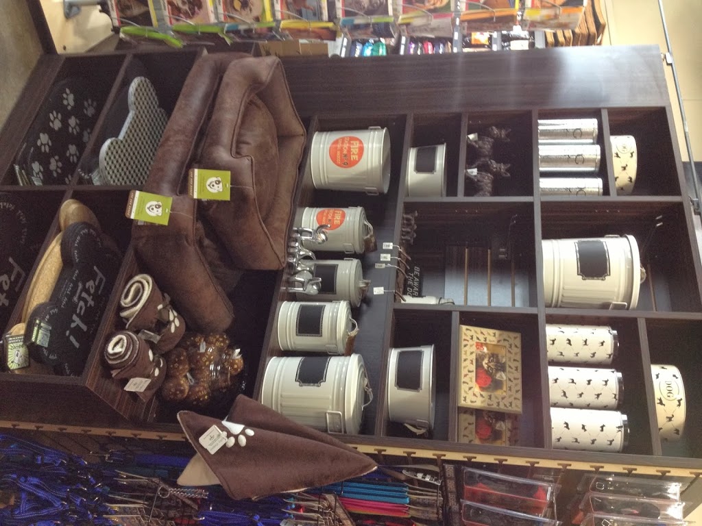 Our Dog & Company | 129 Pedersen Dr, Aurora, ON L4G 0E3, Canada | Phone: (905) 713-3489