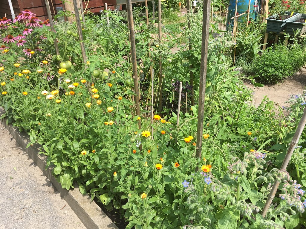 communautaire sault au récollet Garden | 10871 rie du, Montréal, QC H2B 2H3, Canada