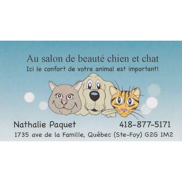 AT BEAUTY SALON DOG AND CAT | 1735 Av. de la Famille, Québec, QC G2G 1M2, Canada | Phone: (418) 877-5171