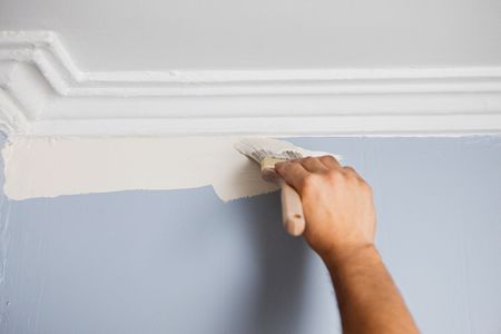 Primetime Painting | 25 Golden Meadow Crescent, Kitchener, ON N2N 2L7, Canada | Phone: (226) 600-9084