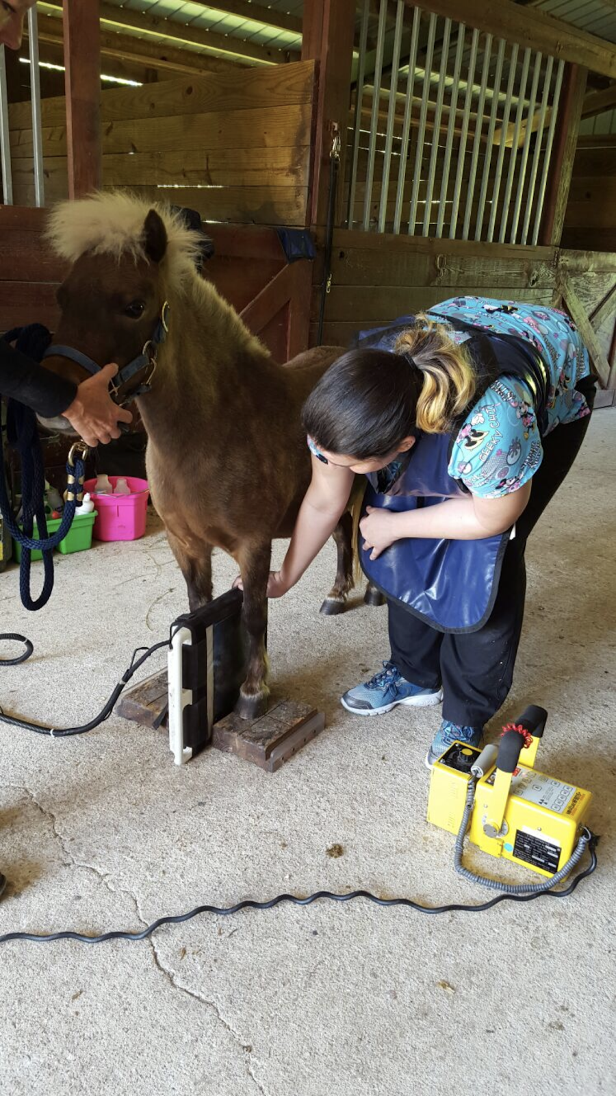 Sunny Coast Equine Veterinary | 1966 Lawrencetown Rd, Lawrencetown, NS B2Z 1C5, Canada | Phone: (902) 600-0498