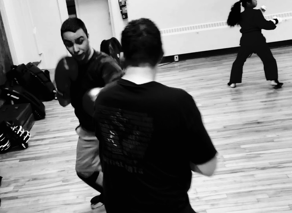 Northern Fist Martial Arts | 4276 Roseland Dr E, Windsor, ON N9G 1Y7, Canada | Phone: (226) 782-9456