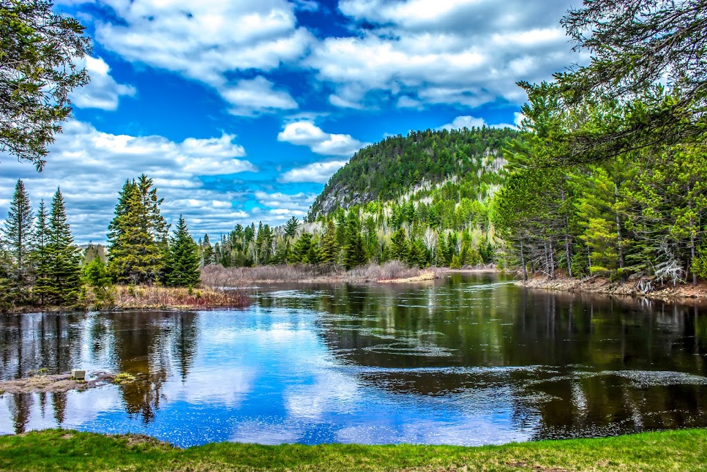 Domaine Appaloosa | 3015 Chemin de la Forêt, Notre-Dame-de-la-Merci, QC J0T 2A0, Canada | Phone: (450) 543-4591