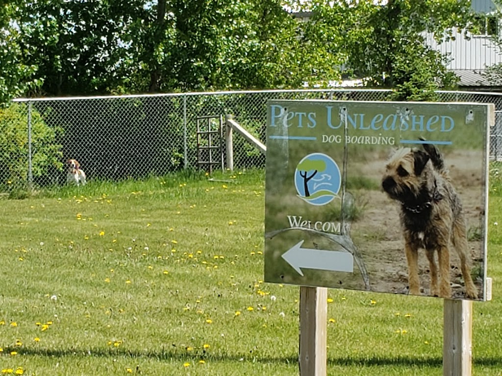 Pets Unleashed | 94025 Range Rd 221, Coalhurst, AB T0K 0T0, Canada | Phone: (403) 327-3979