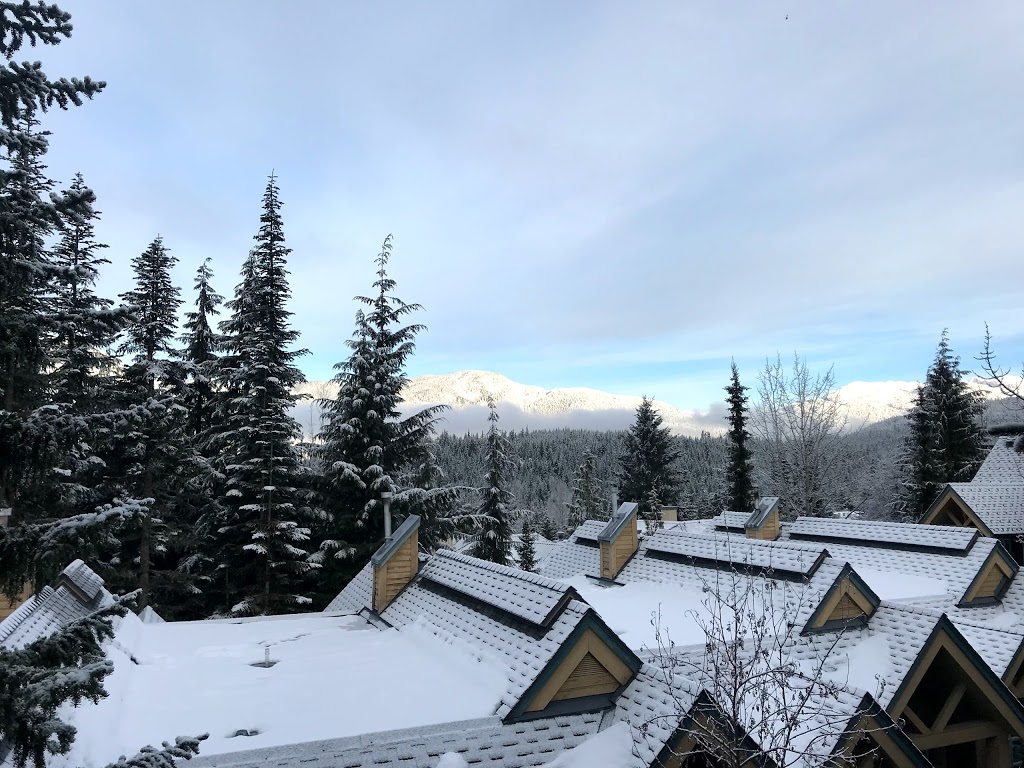 Snowbird | 4865 Painted Cliff Rd, Whistler, BC V0N 1B4, Canada | Phone: (800) 665-5858