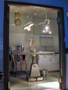 Animal Medical Hospital | 2459 Bellevue Ave, West Vancouver, BC V7V 1E1, Canada | Phone: (604) 926-8654