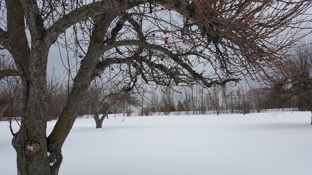 The Golf Club at Lora Bay | 109 E Ridge Dr, Thornbury, ON N0H 2P0, Canada | Phone: (519) 599-7500