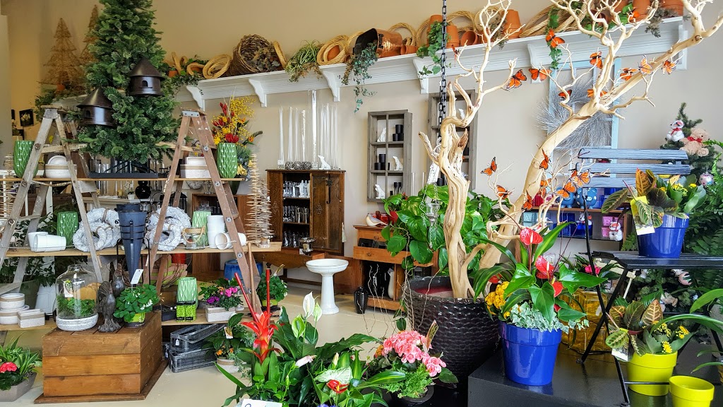 Burke Flowers | 1225 Wonderland Rd N, London, ON N6G 2V9, Canada | Phone: (519) 672-8190