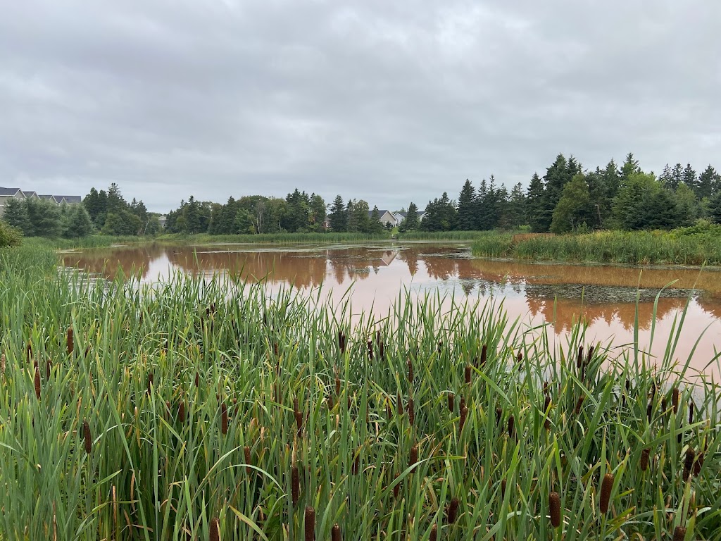 Wrights Creek Watershed Natural Area | 2 Oakland Dr, Charlottetown, PE C1C 1M9, Canada | Phone: (902) 628-1176