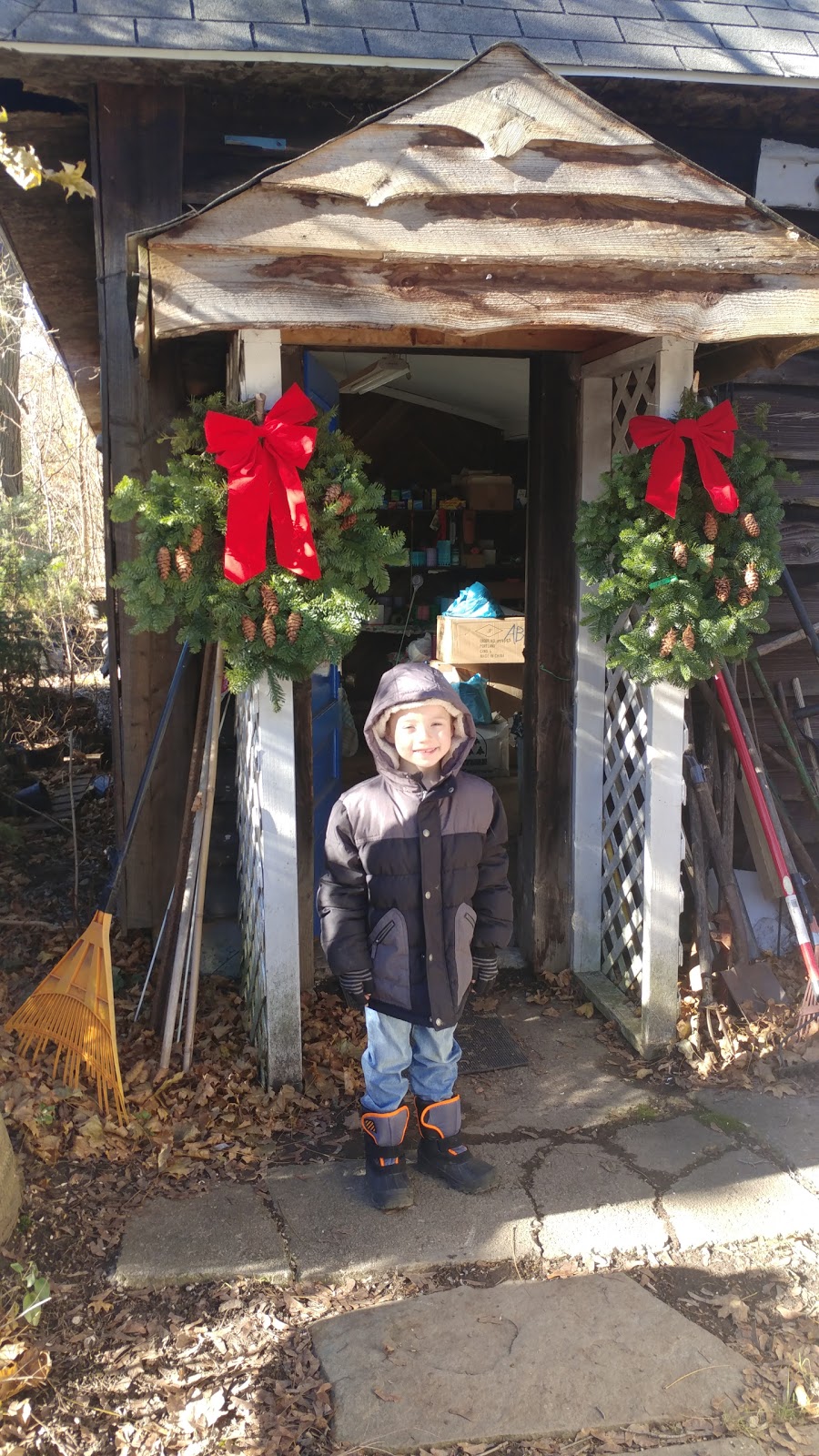 Tree Haven Evergreen Nursery Inc | 981 Jamison Rd, Elma, NY 14059, USA | Phone: (716) 652-4206