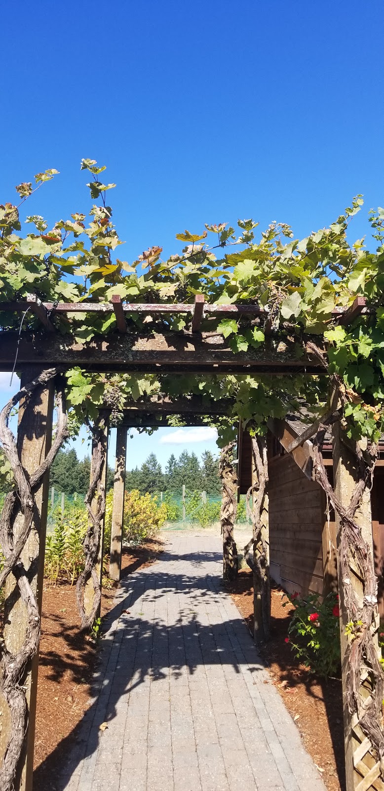 Cherry Point Estate Wines | 840 Cherry Point Rd, Cobble Hill, BC V0R 1L3, Canada | Phone: (250) 743-1272