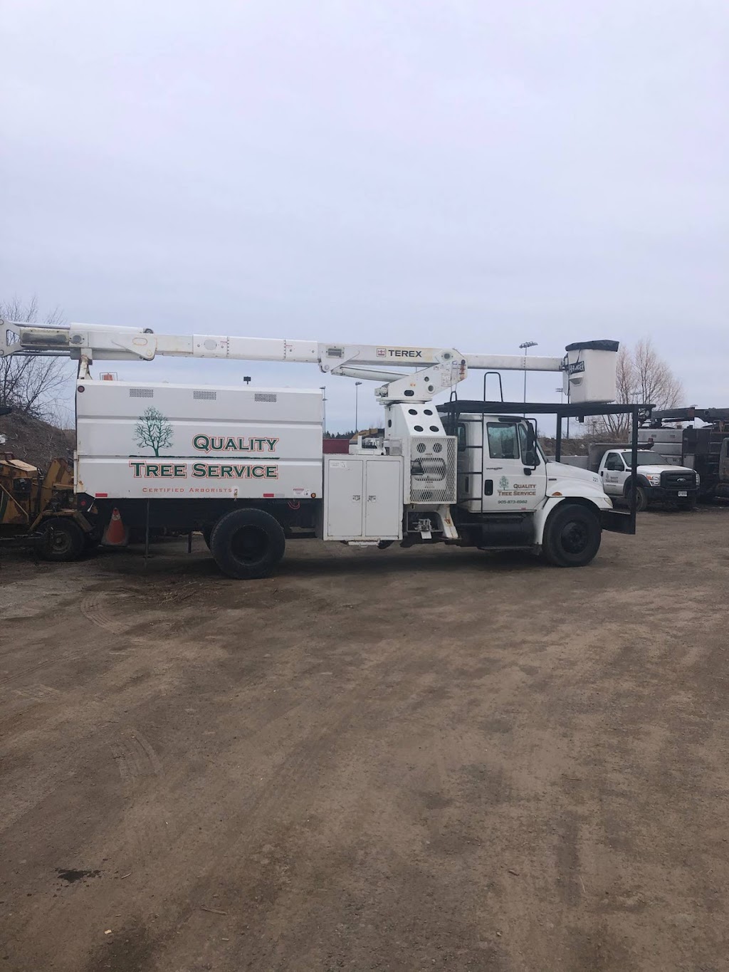 Quality Tree Service | 43 Alice St, Acton, ON L7J 2A9, Canada | Phone: (905) 873-6982