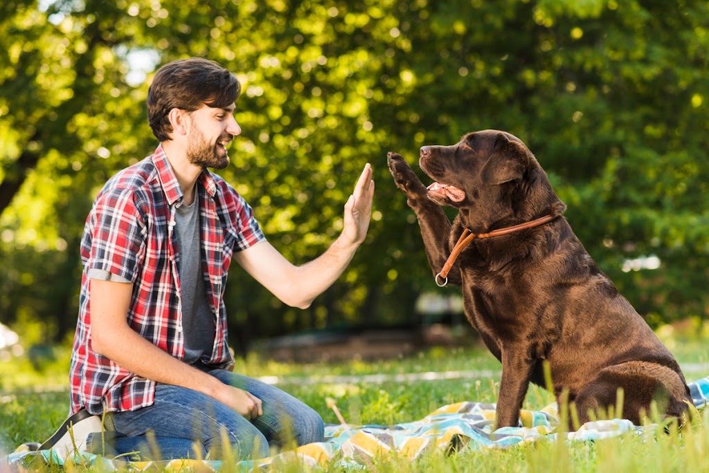 REV K9 | 395483, Dufferin 12, Shelburne, ON L9V 1L5, Canada | Phone: (905) 967-3940
