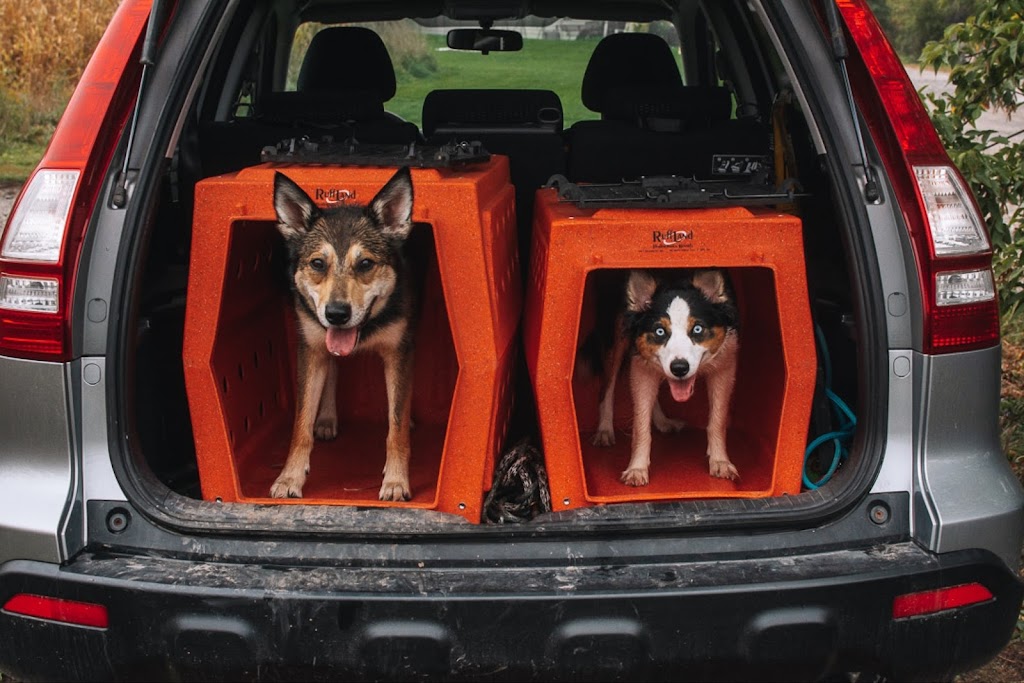Paws in Focus | 3 Cain Ct, Nobleton, ON L0G 1N0, Canada | Phone: (905) 758-7557