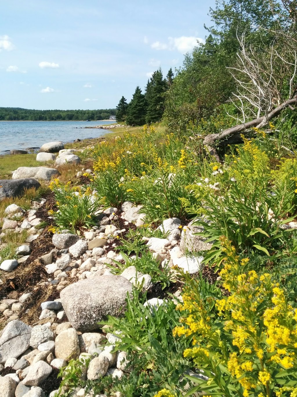 Graves Island Provincial Park | 230 Graves Island Rd, Chester, NS B0J 1J0, Canada | Phone: (902) 275-4425