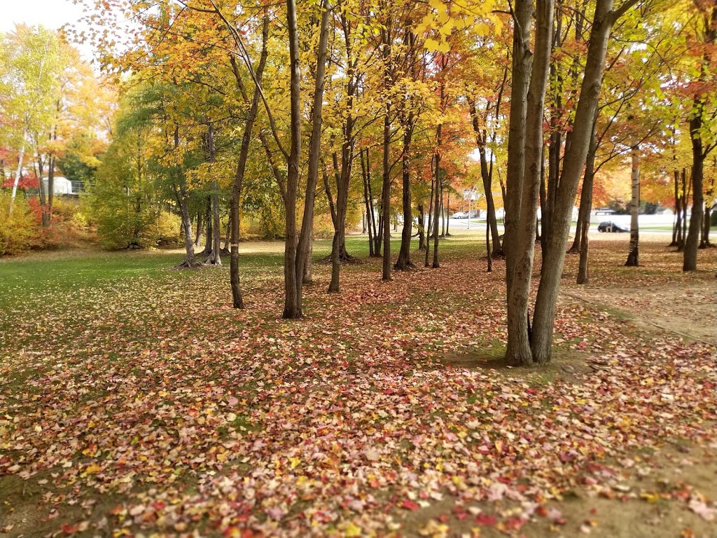 Parc Des Ormeaux | Rue Chapleau, Trois-Rivières, QC G8W 2M2, Canada
