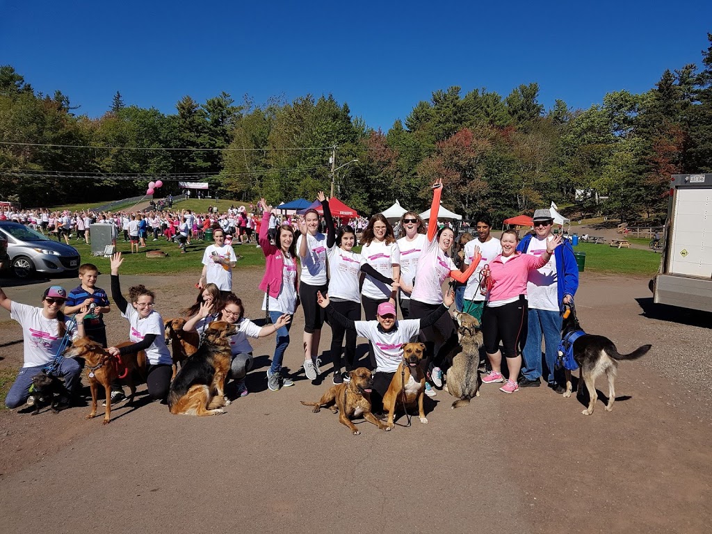Elmwood Veterinary Hospital / Hôpital Vétérinaire Elmwood | 130 Ruelle MacAleese Ln, Moncton, NB E1A 3L9, Canada | Phone: (506) 858-9900