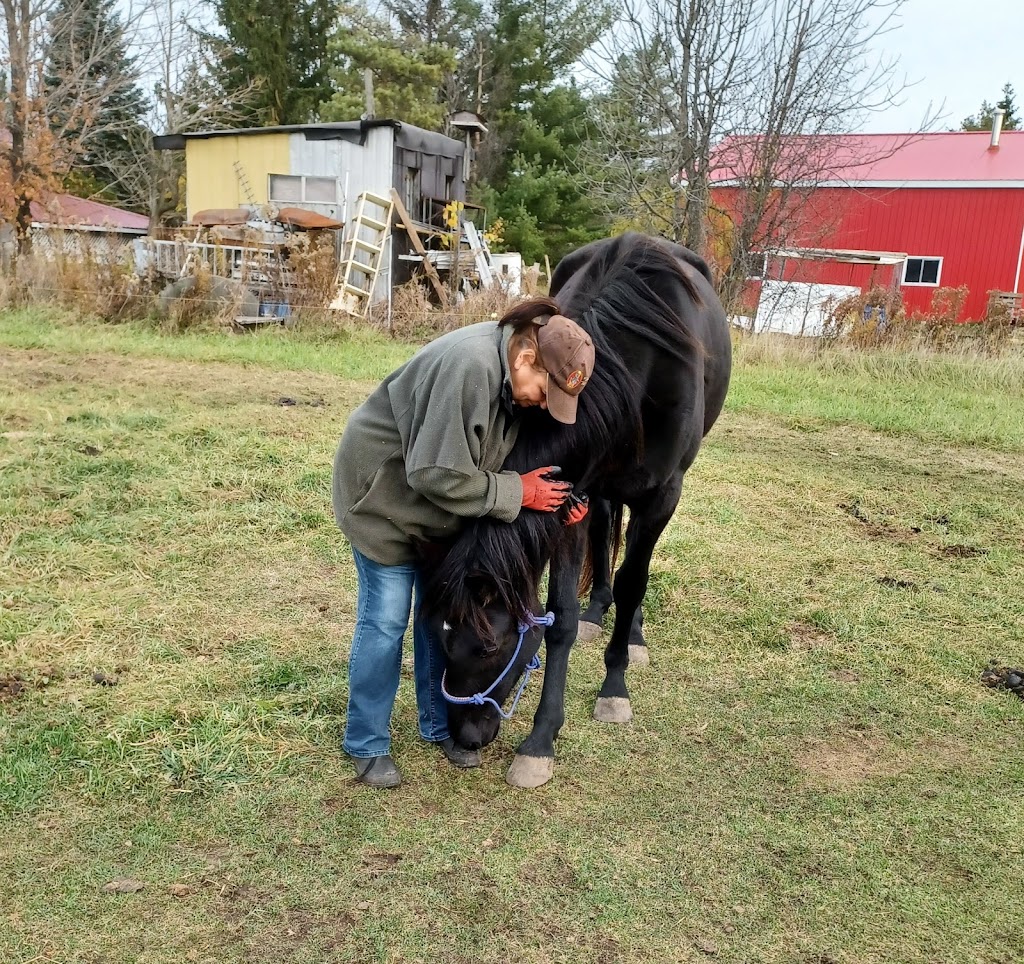 STARDUST ACRES A FLAHERTY FARM | 205 Pickerel Point Rd RR6, Lindsay, ON K9V 4R6, Canada | Phone: (705) 344-5580