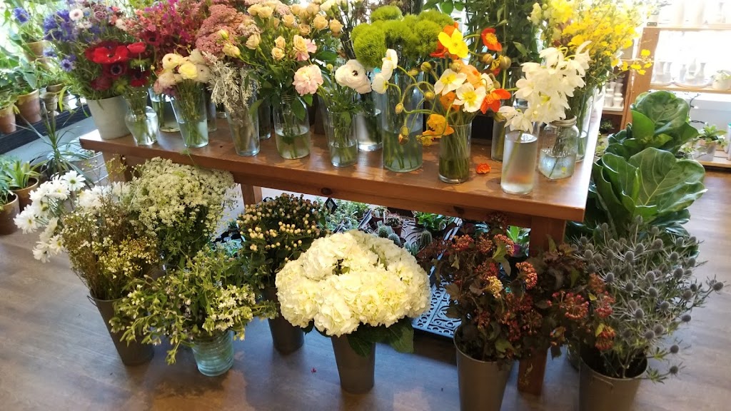 OAK & LILY Inc | 1724 Corydon Ave, Winnipeg, MB R3N 0K2, Canada | Phone: (204) 421-6251