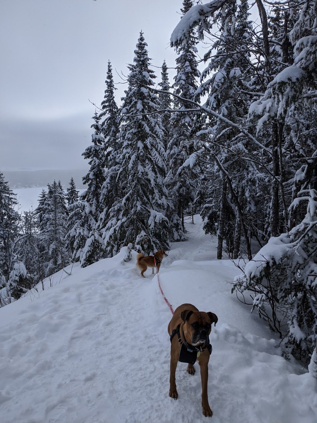 Cap De La Fée | 1712 Chemin Régimbald, Saint-Donat-de-Montcalm, QC J0T 2C0, Canada | Phone: (800) 363-2788