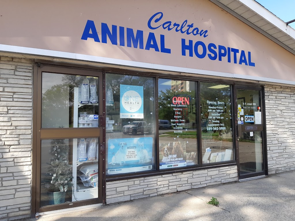 Carlton Animal Hospital | 277 Lake St, St. Catharines, ON L2R 5Z6, Canada | Phone: (289) 362-3900