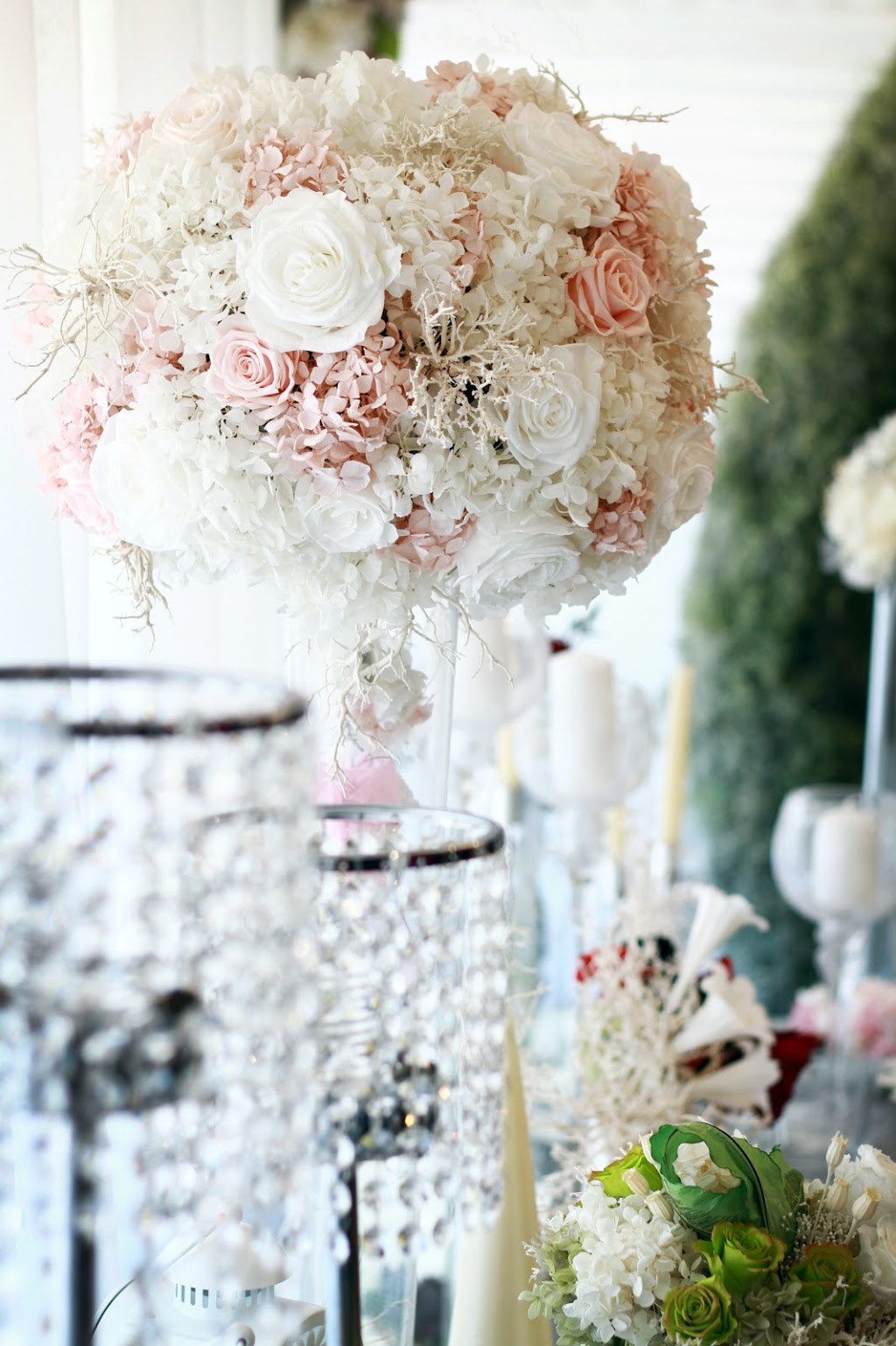 Faisal Hafeez photography | Whitby, ON L1N 0M1, Canada | Phone: (647) 609-9823