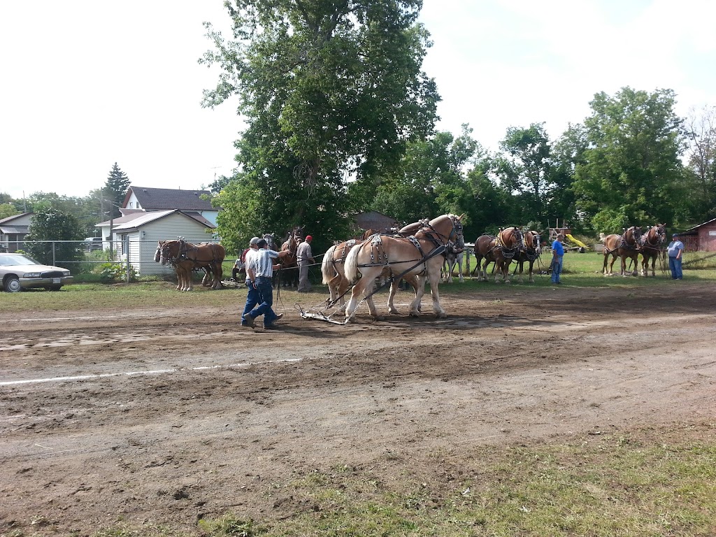 Marmora Arena | 28 Victoria St, Marmora, ON K0K 2M0, Canada | Phone: (613) 472-2410