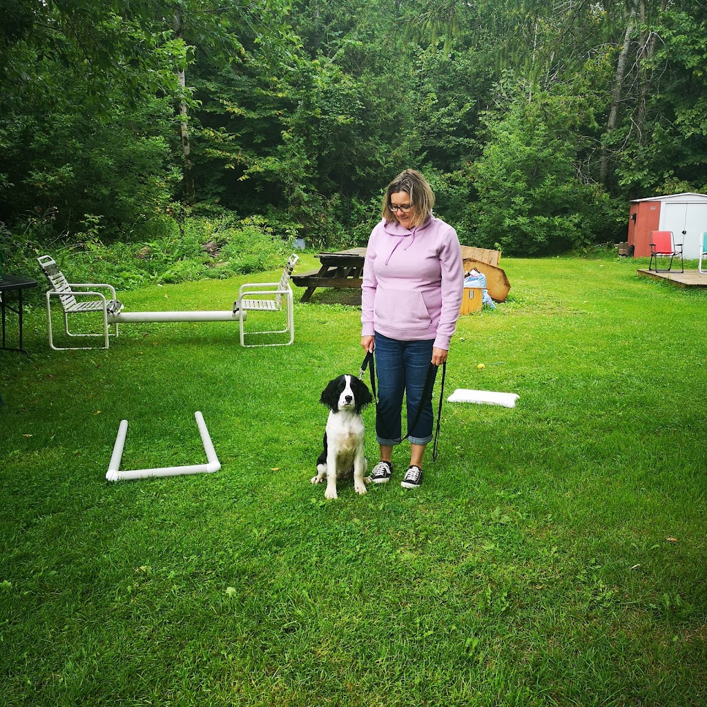 K9 Mechanix Dog Training | 383 County Rd 41, Kirkfield, ON K0M 2B0, Canada | Phone: (705) 309-5230