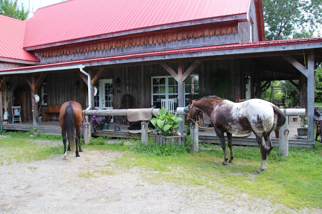 Ranch Tibalain | 209 Chemin de Béthanie, Béthanie, QC J0E 2L1, Canada | Phone: (514) 972-6789