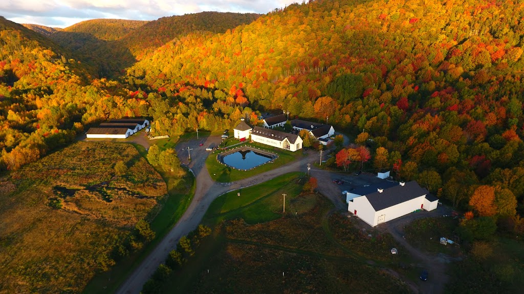 Glenora Inn & Distillery | 13727 Highway 19, Mabou, NS B0E 1X0, Canada | Phone: (902) 258-2662