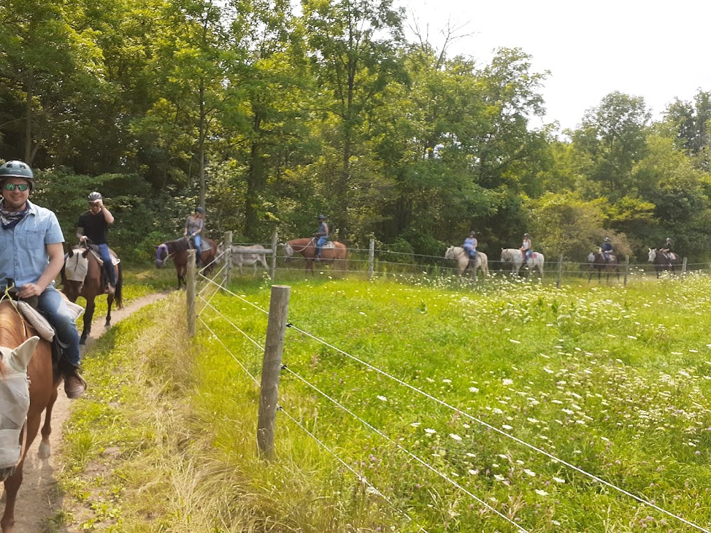 Big Creek Horse Stables - Horseback Riding | 386 Big Creek Rd, Caledonia, ON N3W 2G9, Canada | Phone: (905) 765-5476