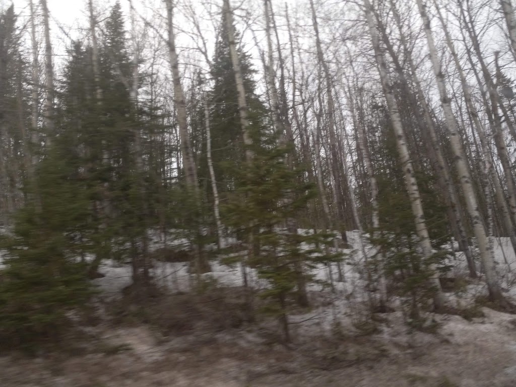 Forêt du Maître Scieur | 1571 Rue Principale, Pohénégamook, QC G0L 1J0, Canada | Phone: (418) 859-3009