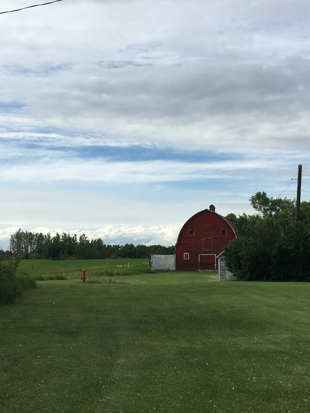 Redrock farm Mundare AB Canada | 524054, Range Rd 162, Mundare, AB T0B 3H0, Canada | Phone: (780) 906-3303