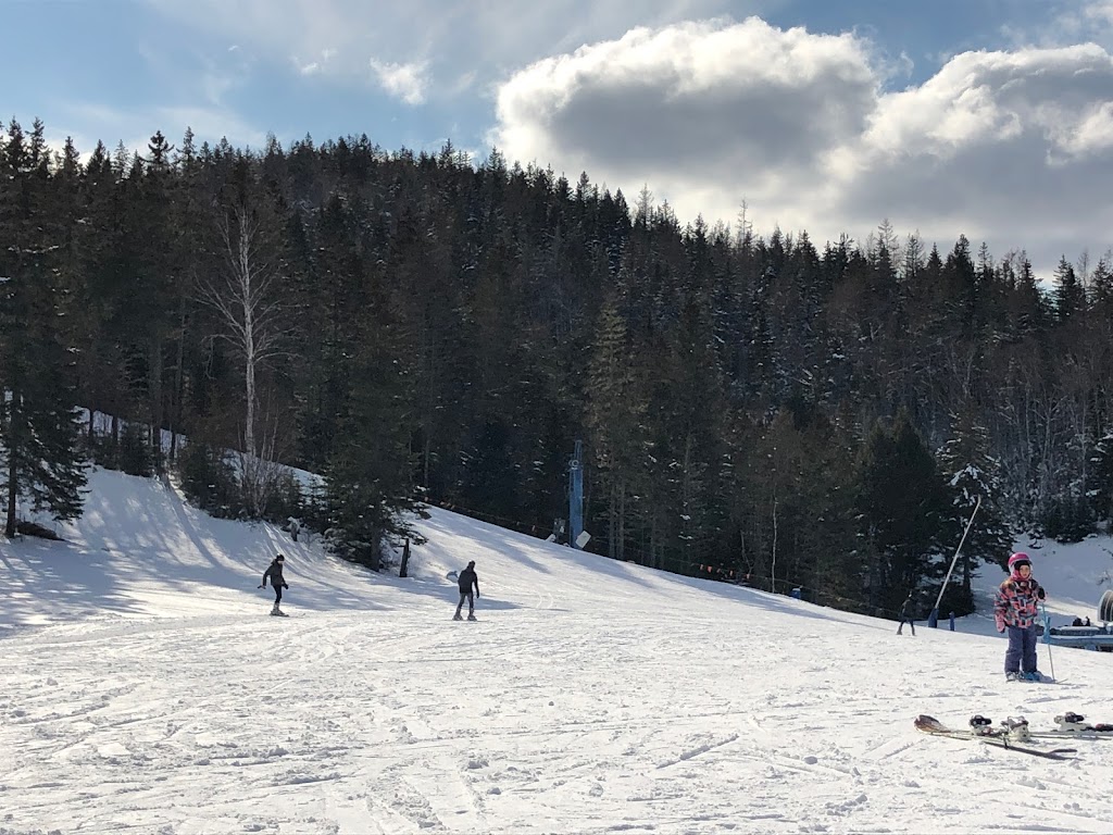 Poley Mountain Resorts Ltd. | 69 Poley Mountain Rd, Waterford, NB E4E 5C5, Canada | Phone: (506) 433-7653
