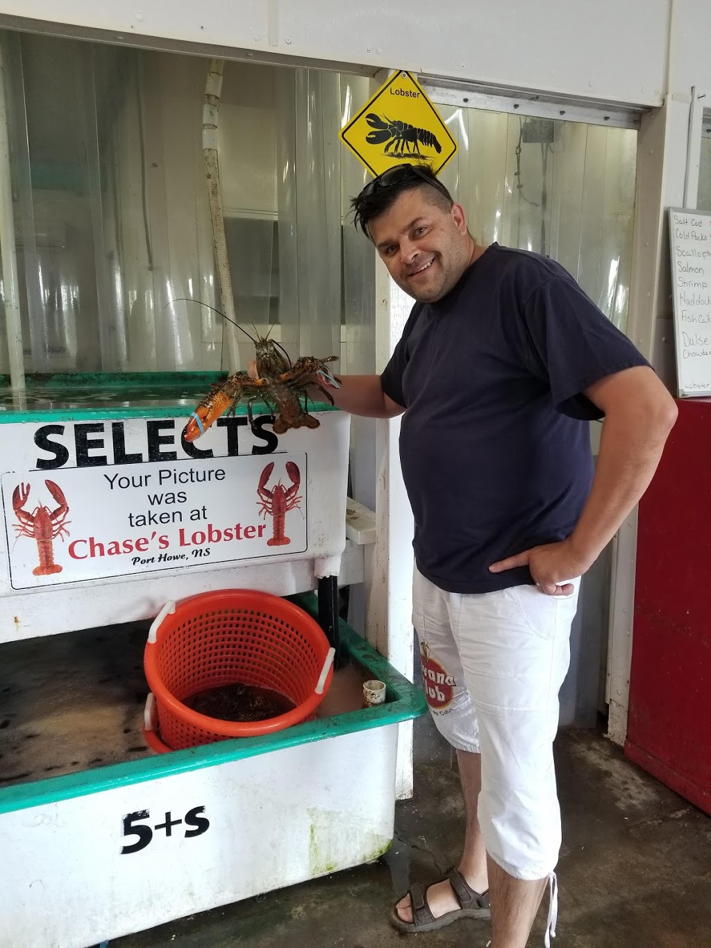 Chases Lobster Limited | 7905 NS-6, Pugwash, NS B0K 1L0, Canada | Phone: (902) 243-2408