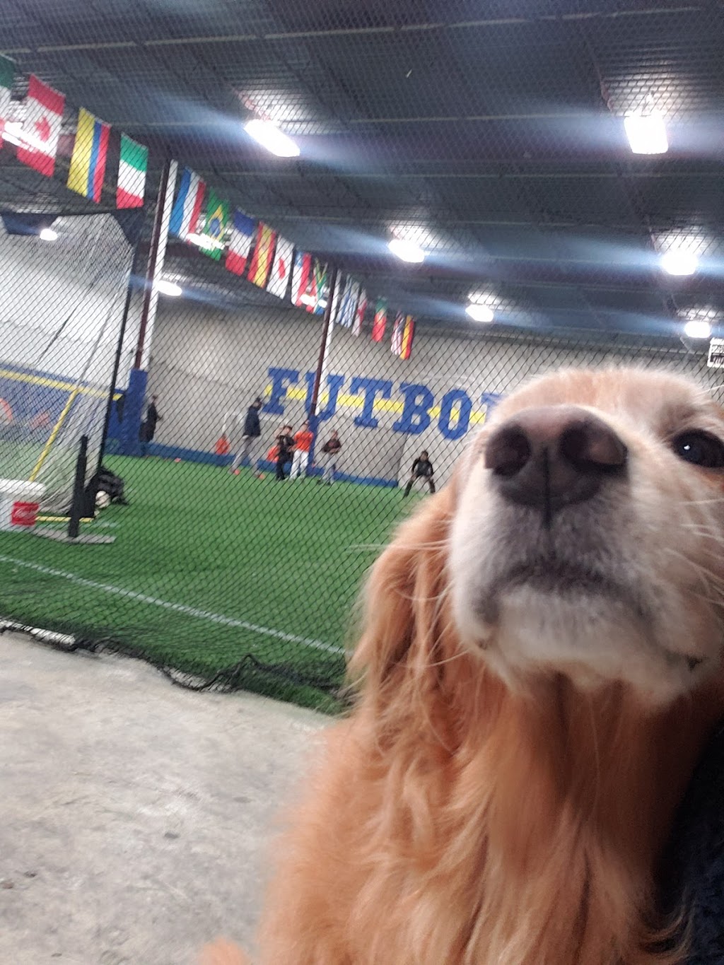 Futbol 5 - Indoor Soccer & Fitness Centre | 109 Braid St, New Westminster, BC V3L 5H4, Canada | Phone: (604) 358-3528