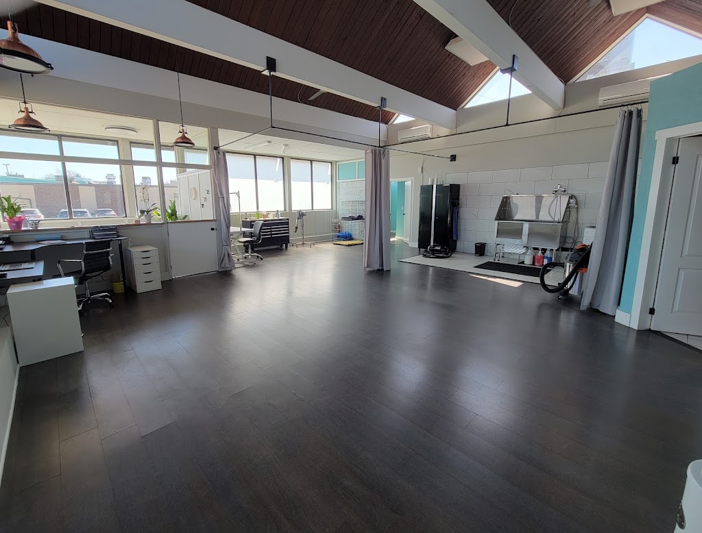 Head to Tail Dog Grooming | 3641 Portage Rd, Niagara Falls, ON L2J 2K8, Canada | Phone: (905) 329-7598