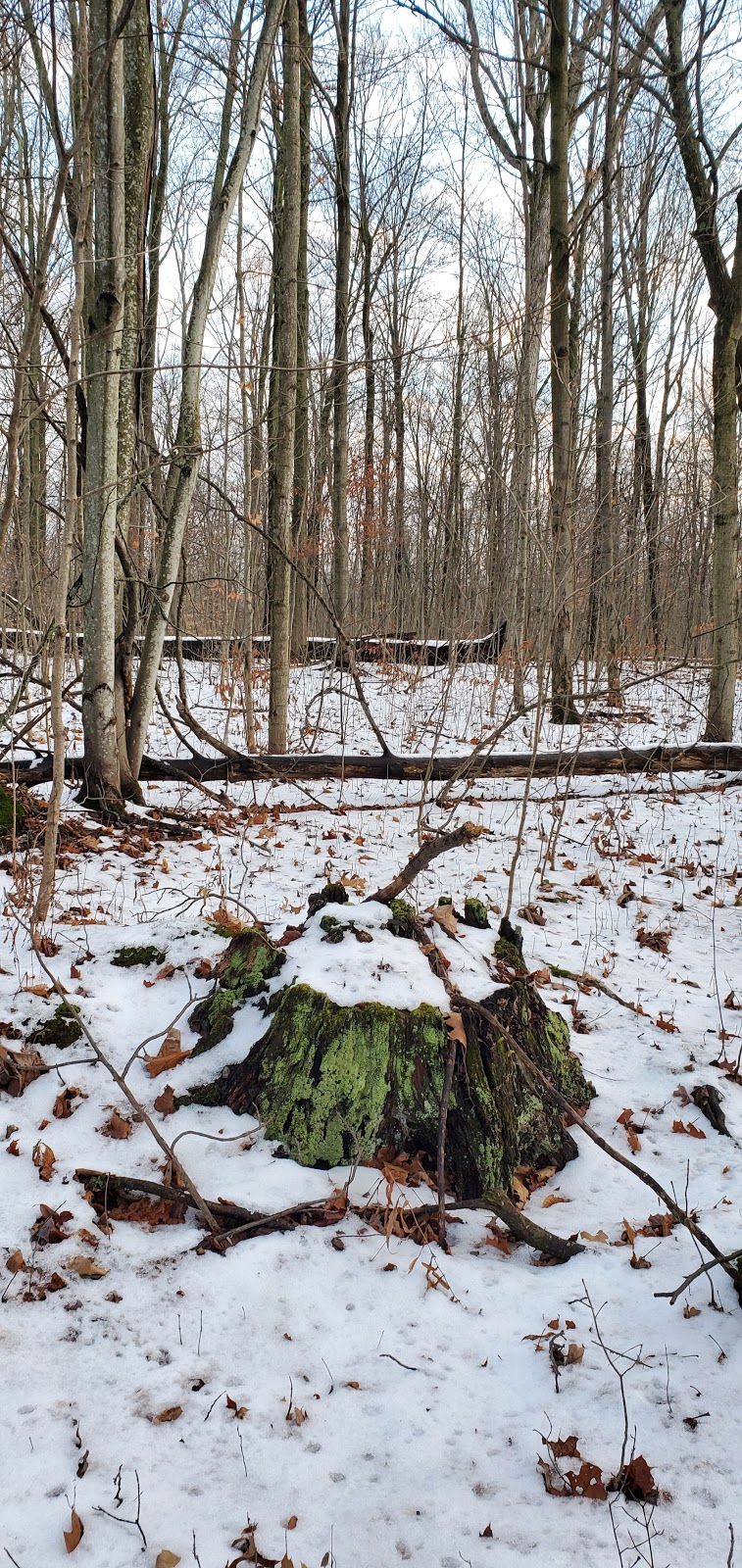 Ruigrok Tract NPCA | Caistorville Rd, Haldimand, ON N0A 1C0, Canada | Phone: (905) 892-1736