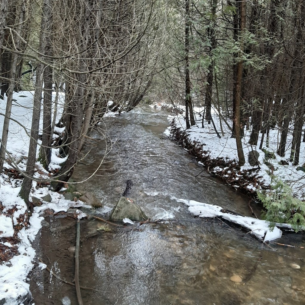 Proctor Park Conservation Area | 96 Young St, Brighton, ON K0K 1H0, Canada | Phone: (613) 394-4829