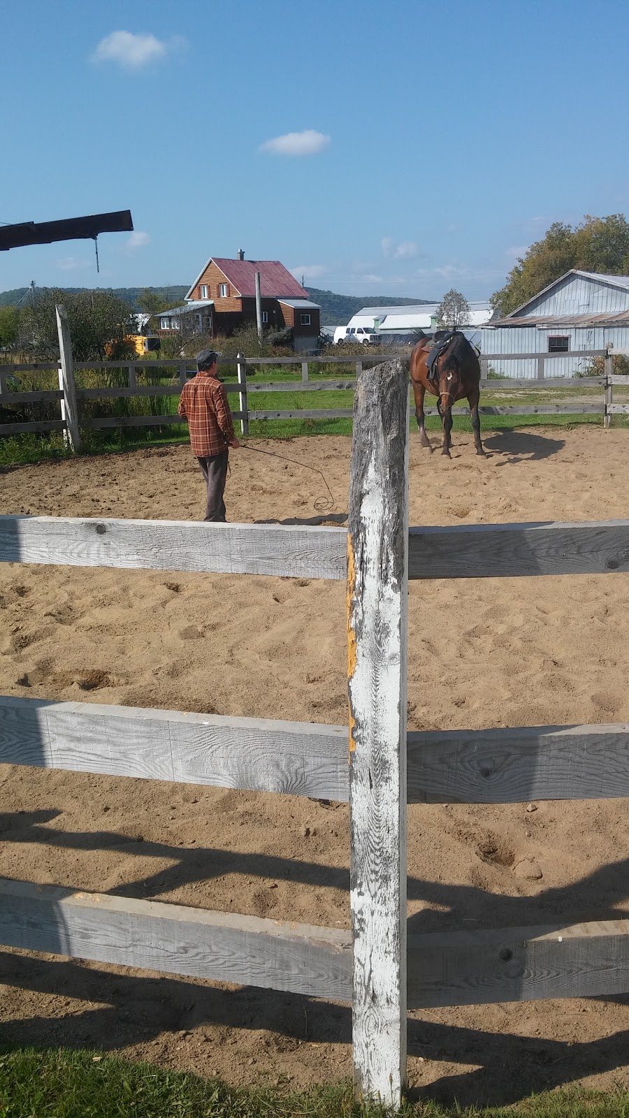 Les Ecuries Sonador Enr | 1460 3e Rang, Saint-Gabriel-de-Brandon, QC J0K 2N0, Canada | Phone: (450) 835-4114