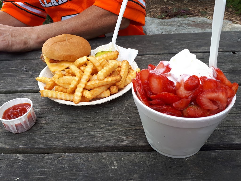 Dairy Freez | 368 County Rd 34, Essex, ON N8M 2X5, Canada | Phone: (519) 839-4703